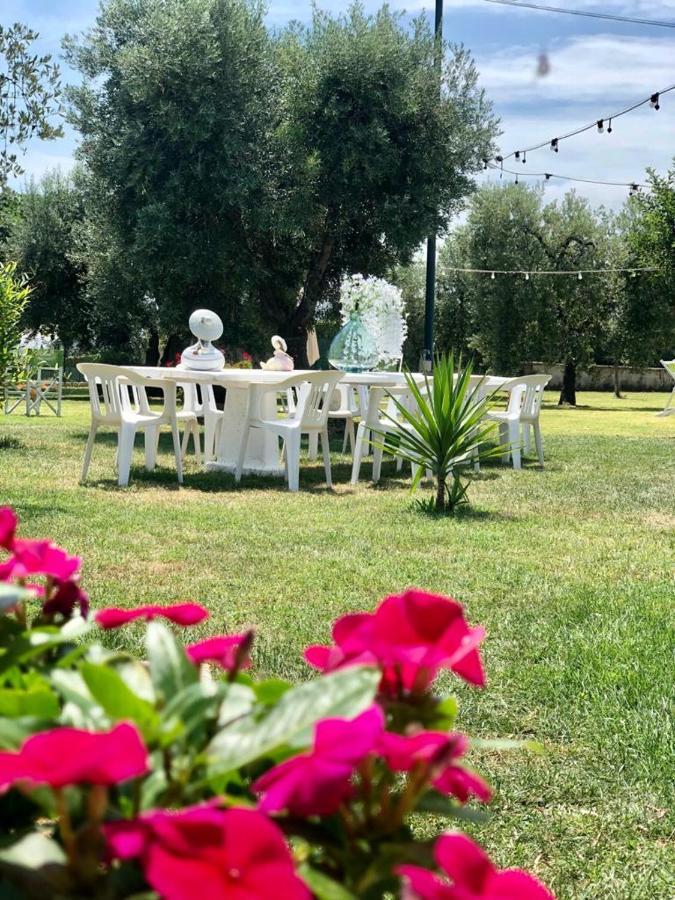 Pensione Degli Ulivi Porto SantʼElpidio Eksteriør billede