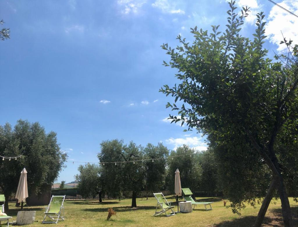 Pensione Degli Ulivi Porto SantʼElpidio Eksteriør billede